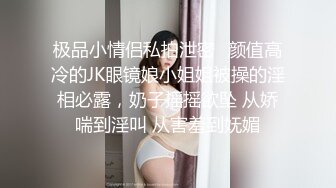 【三级】《小姐姐》