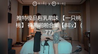 台湾JVID模特「elarine114」「白雪蘿綝」OF私拍 185cm极品身材36F吊钟乳小欲女【第一弹】 (8)