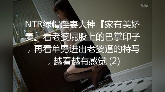 台湾商场女厕全景偷拍少妇各种姿势嘘嘘 (4)